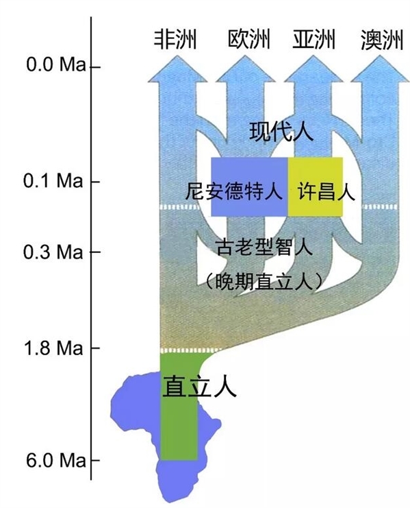 u=2428396605,3987353486&fm=173&s=58A43C72594642CE8B71F8CC0300F0E1&w=599&h=741&img